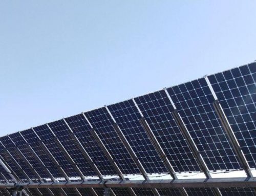 PVH and its bifacial technology lead the market for solar trackers
