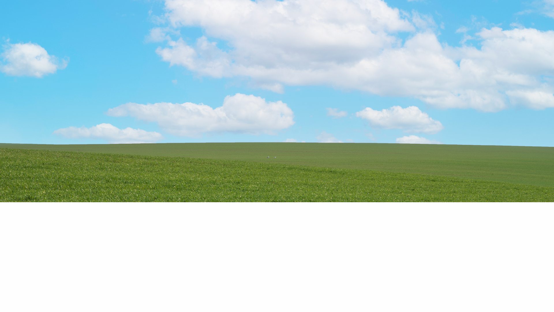 PVH SolarFix Background