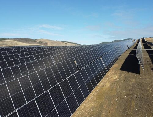 Cómo el seguidor solar AxoneDuo Infinity de PVH aumenta la eficiencia y resistencia de los proyectos solares