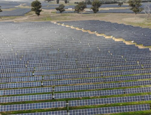 Key Trends and Challenges in the Australian Solar Tracker Market for 2025